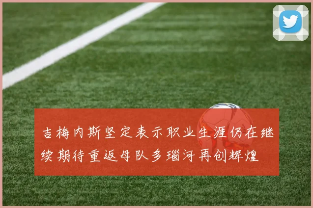 吉梅内斯坚定表示职业生涯仍在继续期待重返母队多瑙河再创辉煌