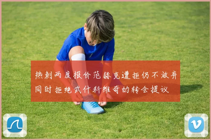热刺两度报价范赫克遭拒仍不放弃同时拒绝武什科维奇的转会提议
